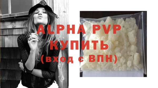 PSILOCYBIN Верхний Тагил