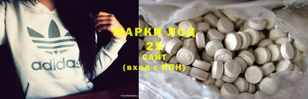 PSILOCYBIN Верхний Тагил