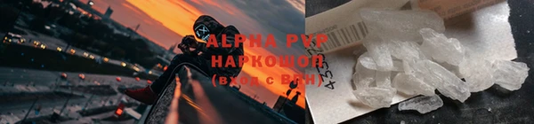 PSILOCYBIN Верхний Тагил
