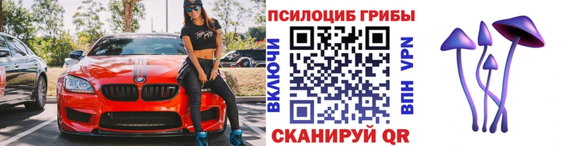 Купить где  Ливны  Псилоцибиновые грибы Psilocybine cubensis 